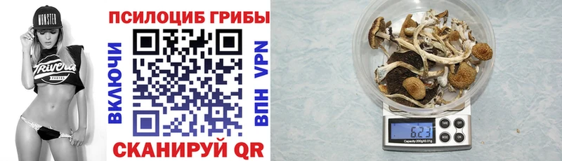 Псилоцибиновые грибы Cubensis  Кирово-Чепецк 